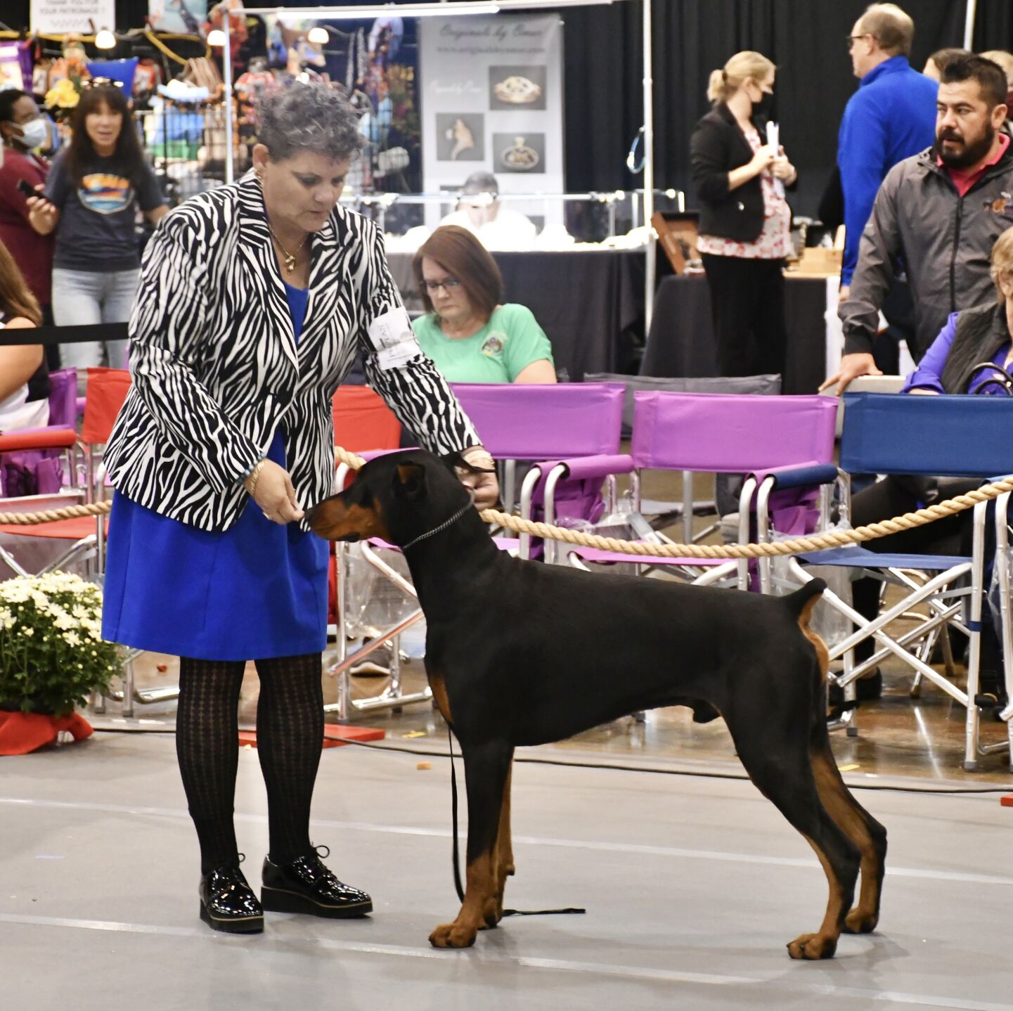 Dog show 6.JPEG